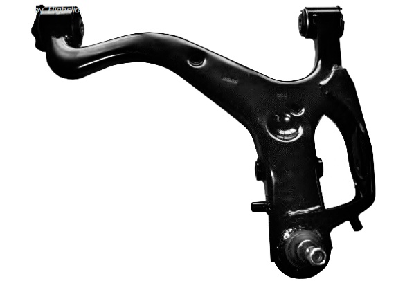 Land Rover Control arm RBJ500456